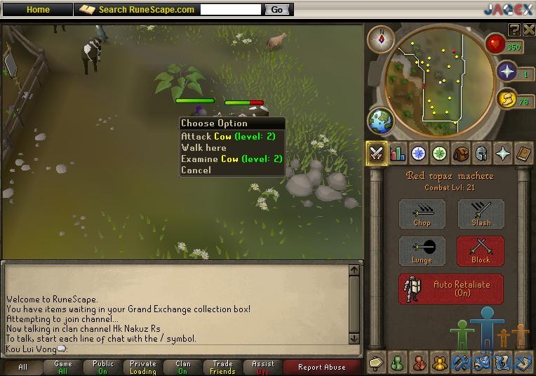 Cow.jpg