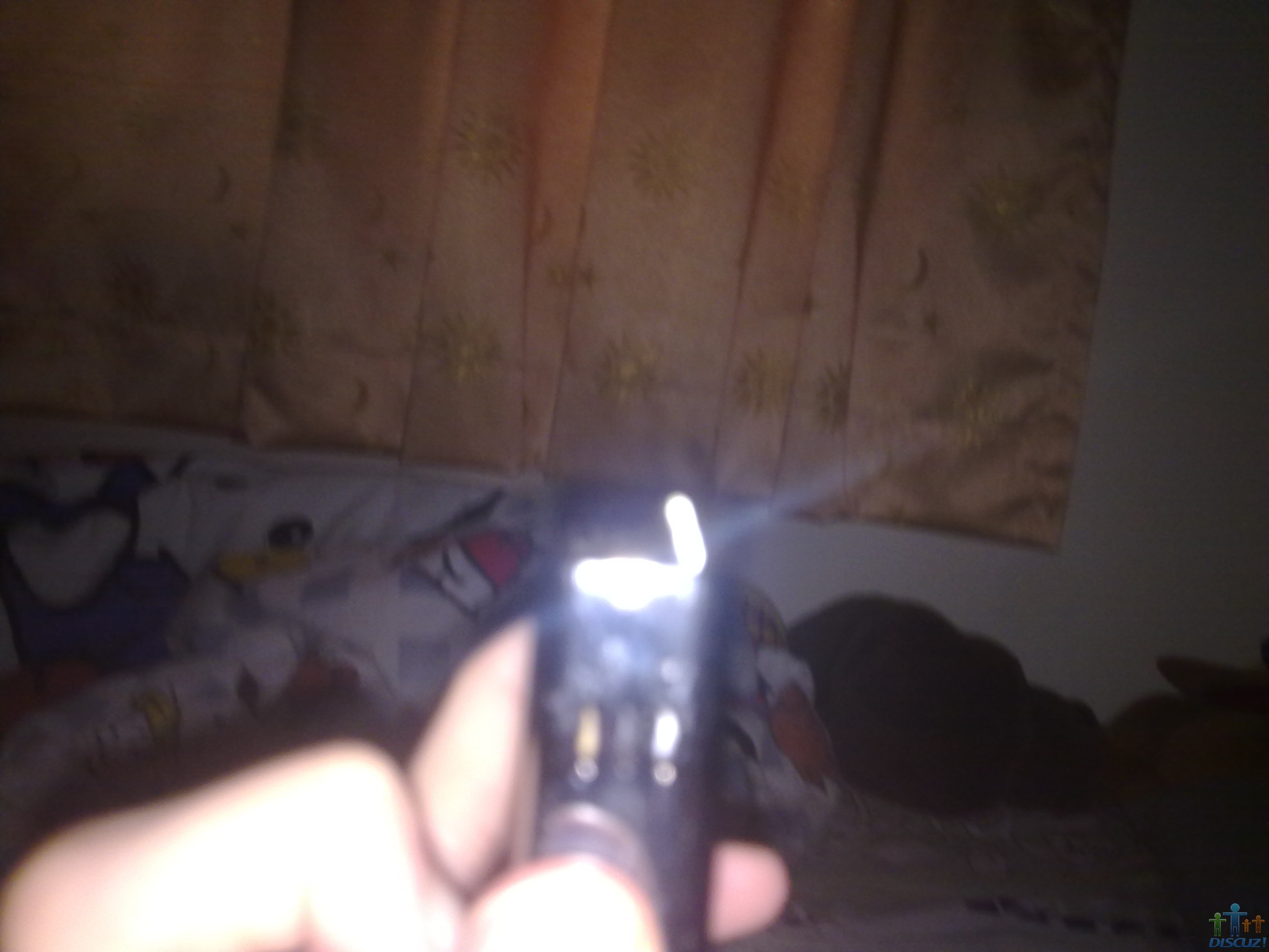 20100528113.jpg