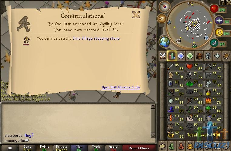 74 agility.jpg
