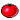 tomato.gif