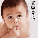 2.gif