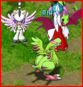 青雞!!