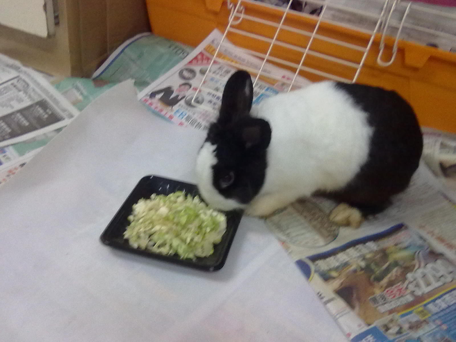 20100903053.jpg