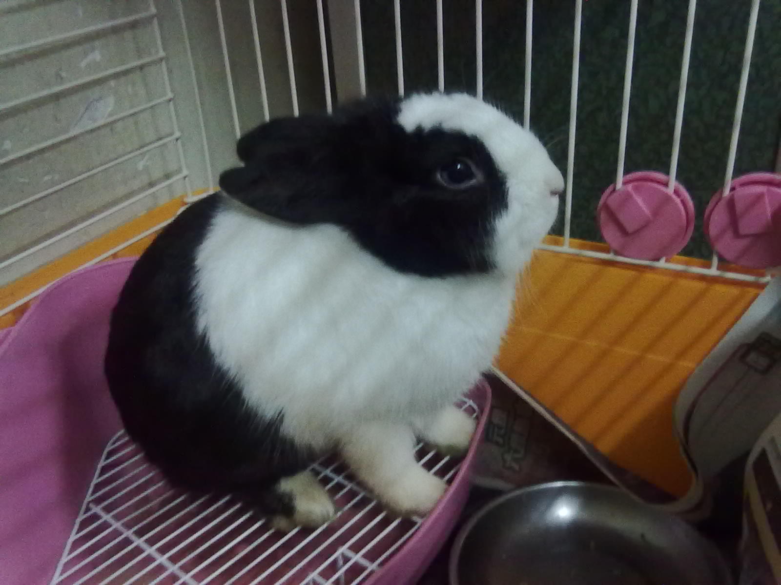 20100903052.jpg