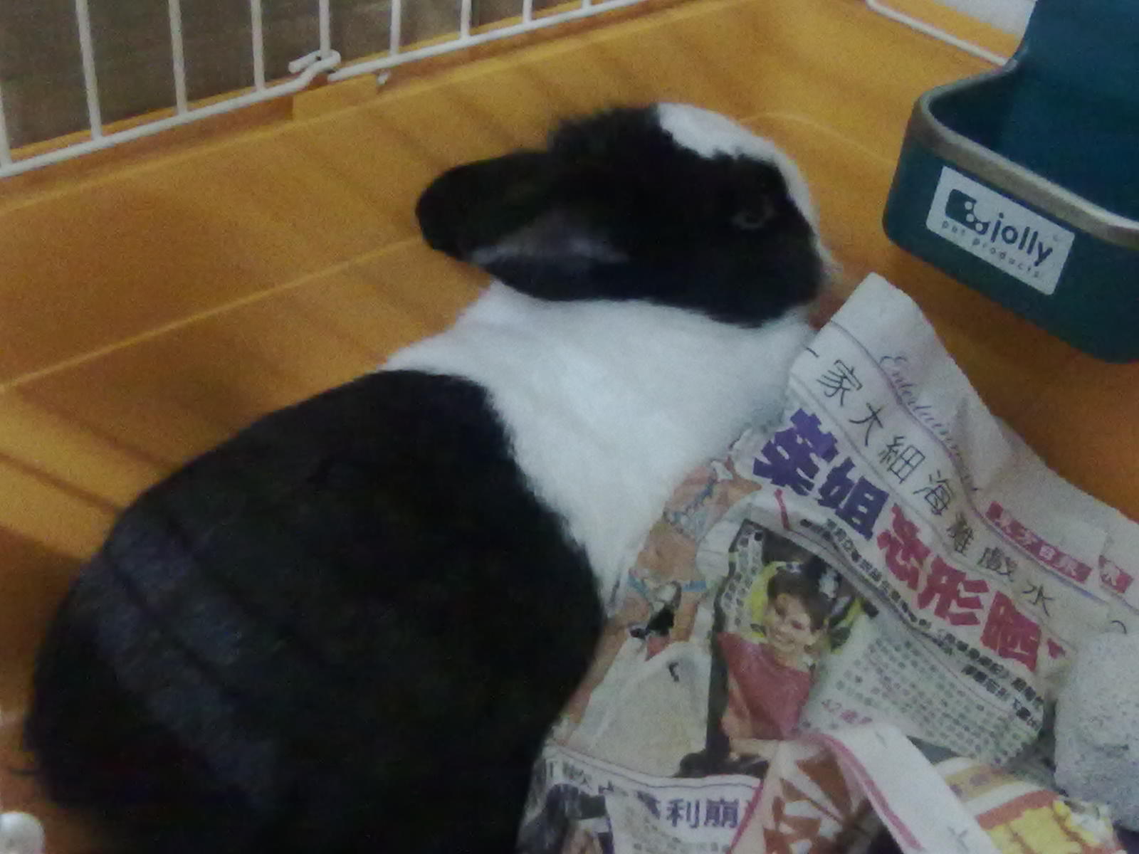 20100903051.jpg
