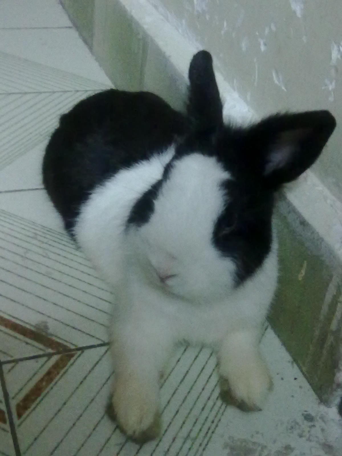 20100903106.jpg
