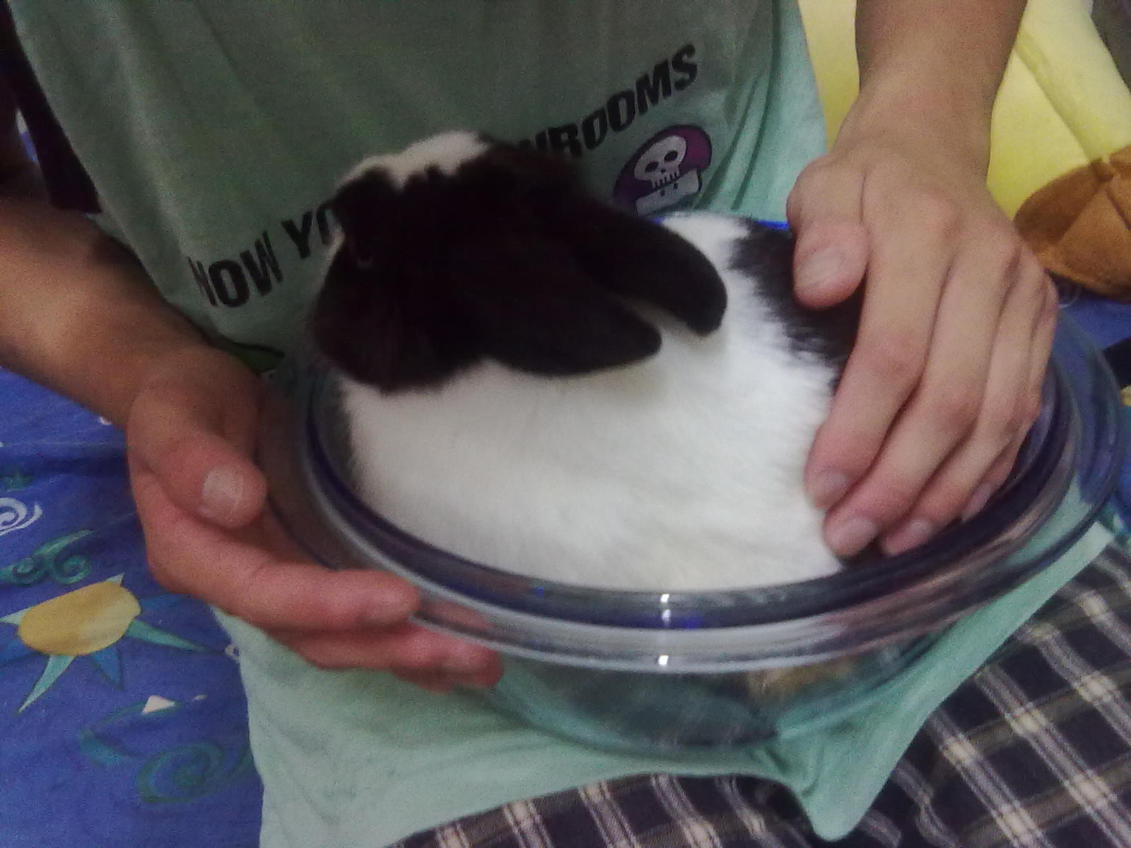20100903069.jpg