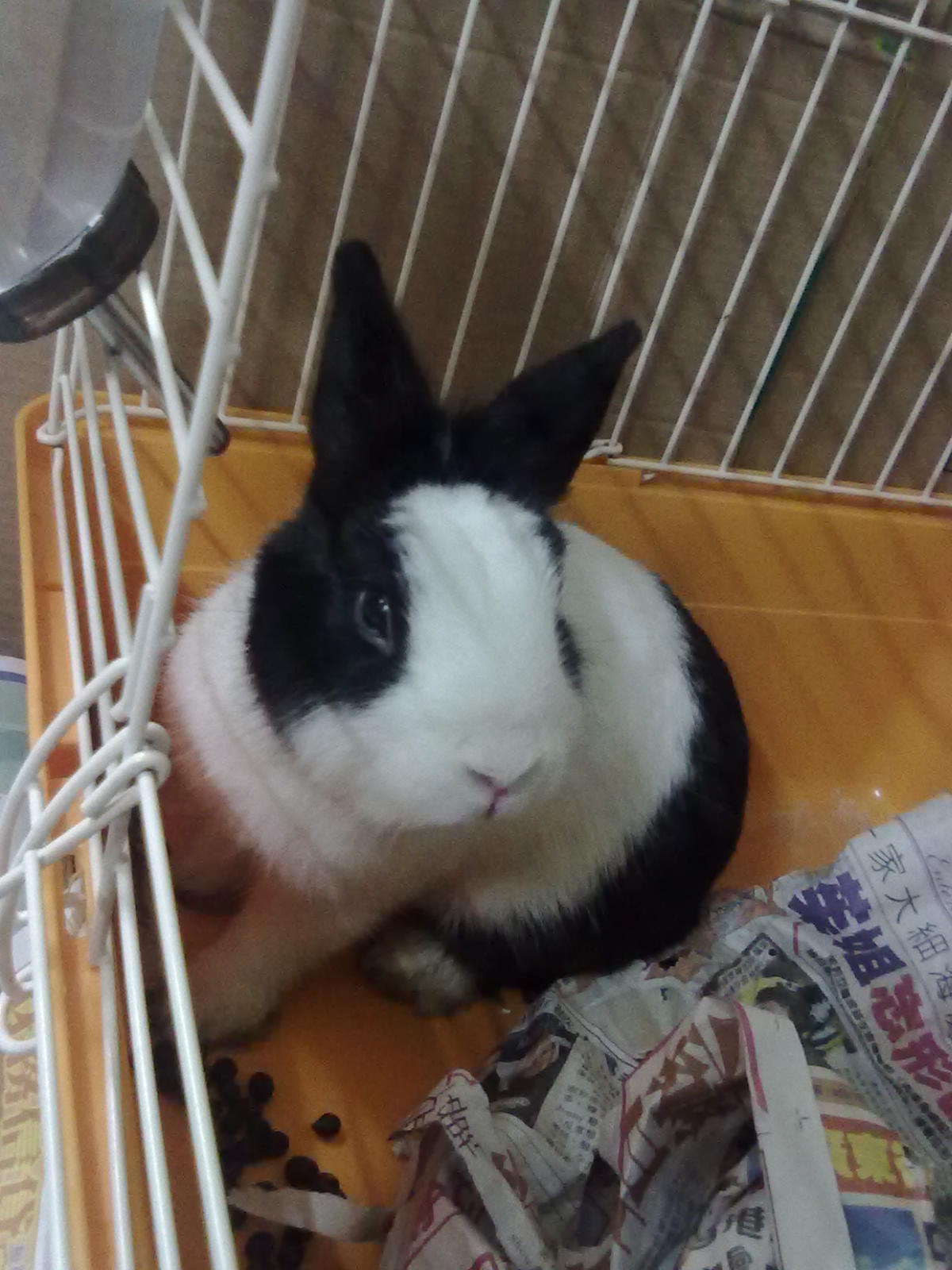 20100903034.jpg