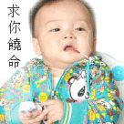 未命名.gif
