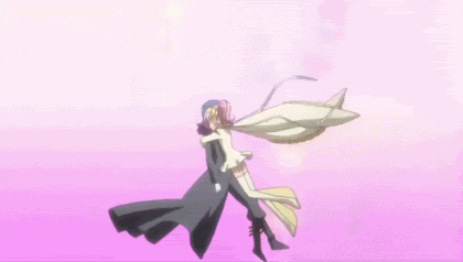12-2.gif