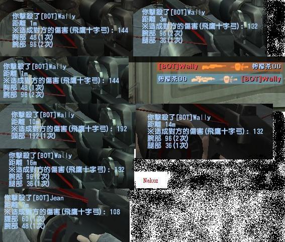 飛鷹打BOT.JPG