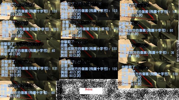 飛鷹打真人.JPG