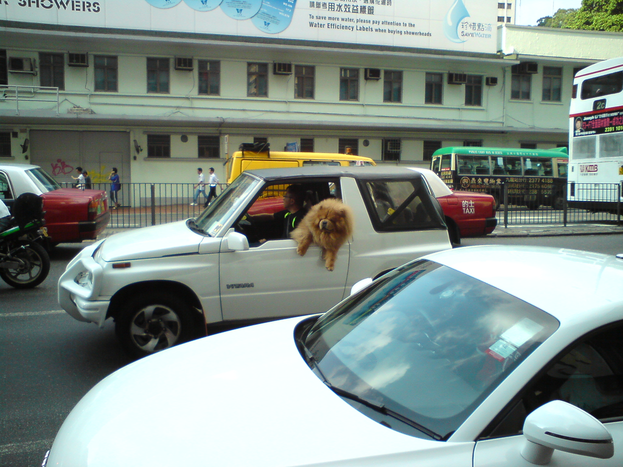DSC01182.JPG