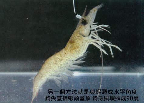 02.jpg
