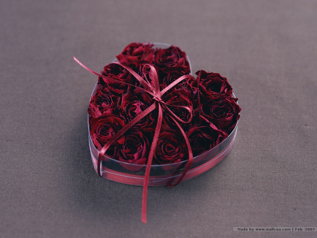 20100908_b28ebe81c20d5d94c3d40ZTRJ5EOk6uT.jpg