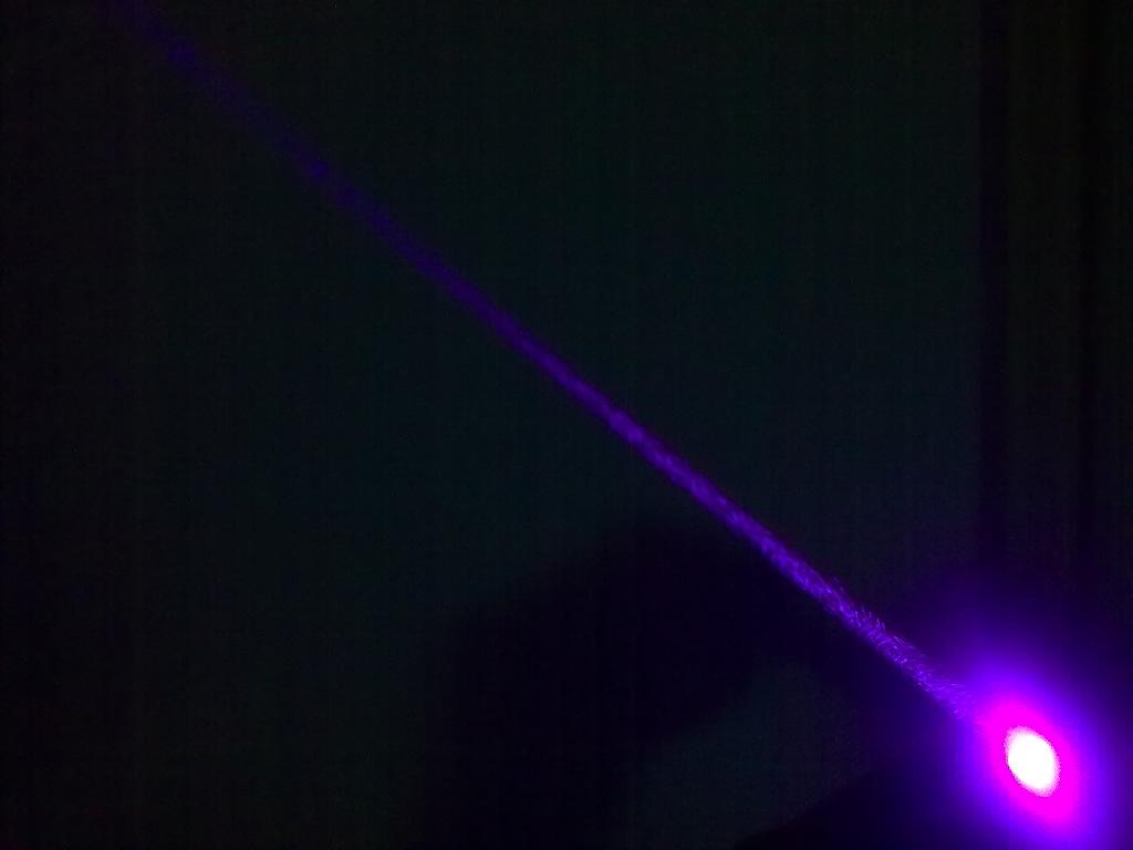 violet3.jpg