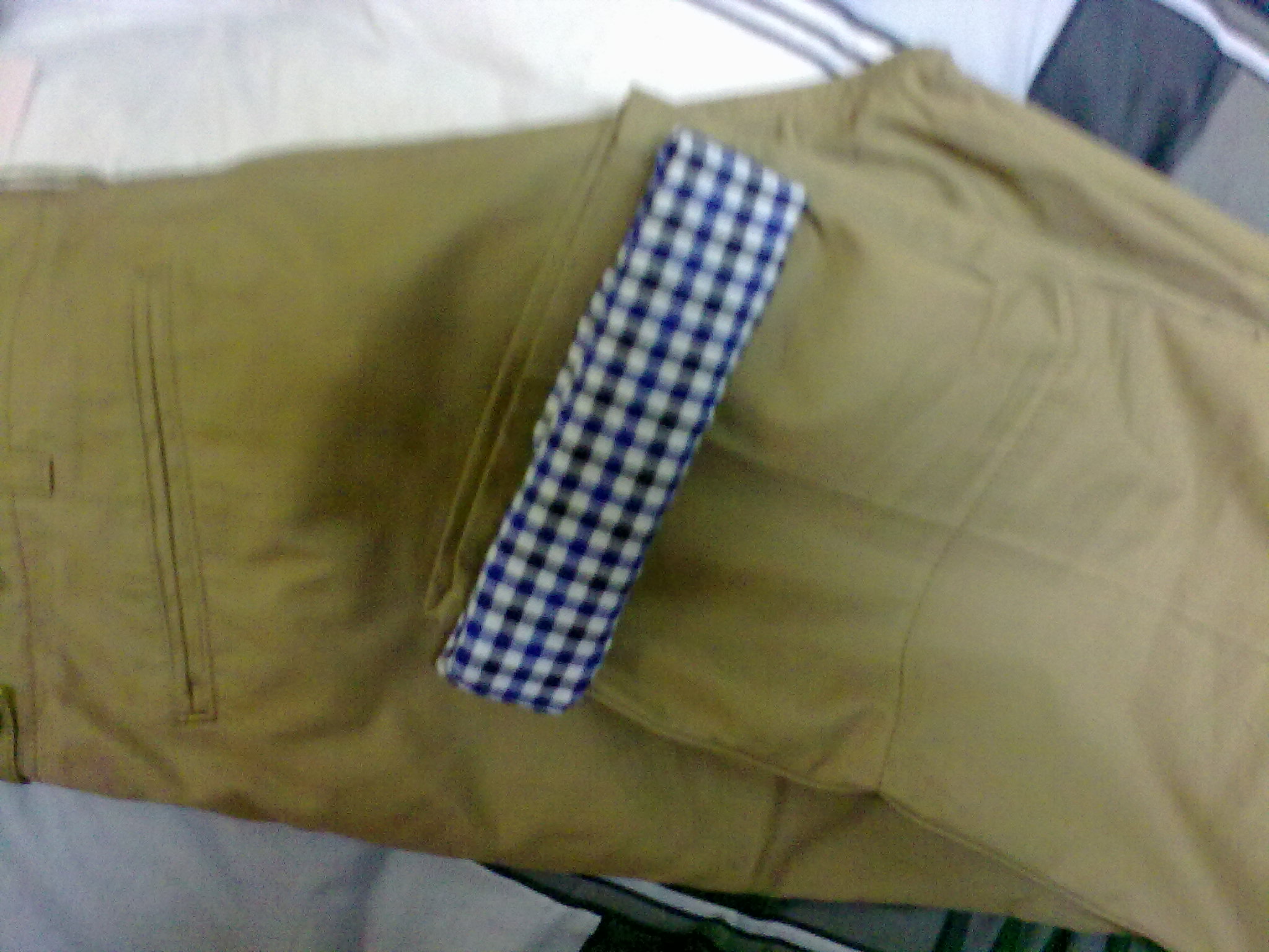 20101202570.jpg