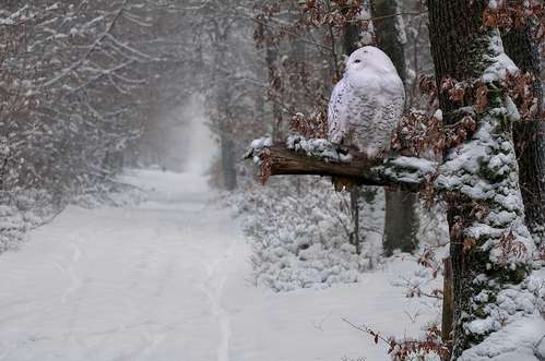 normal_30211.jpg