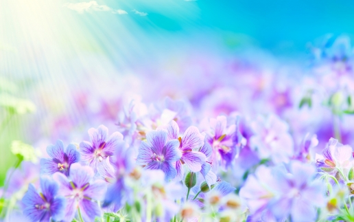 thumb_big_wide_7a44dc1e4b26137ebd6ef24e1cb14215.jpg