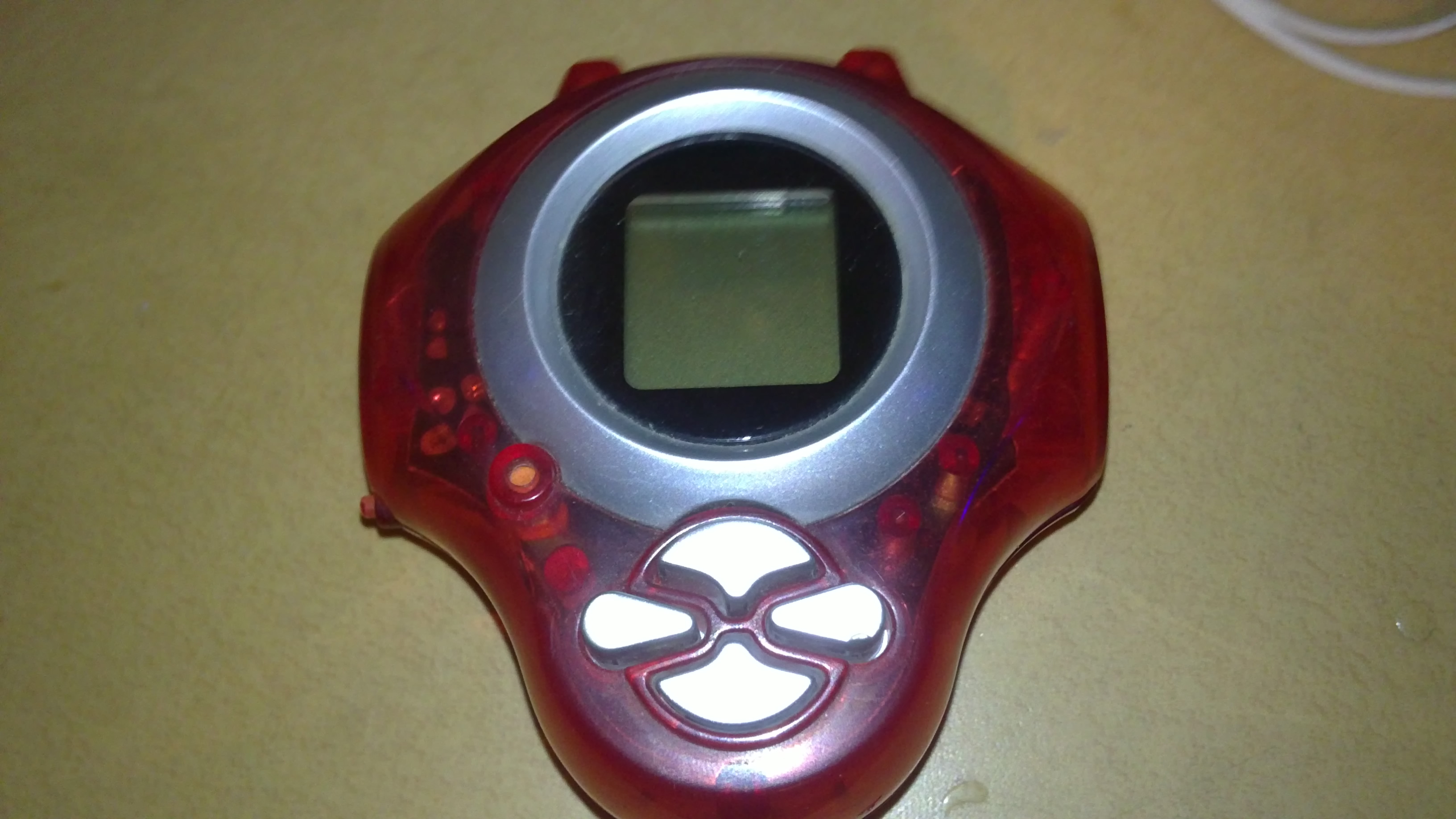 20101218089[1].jpg