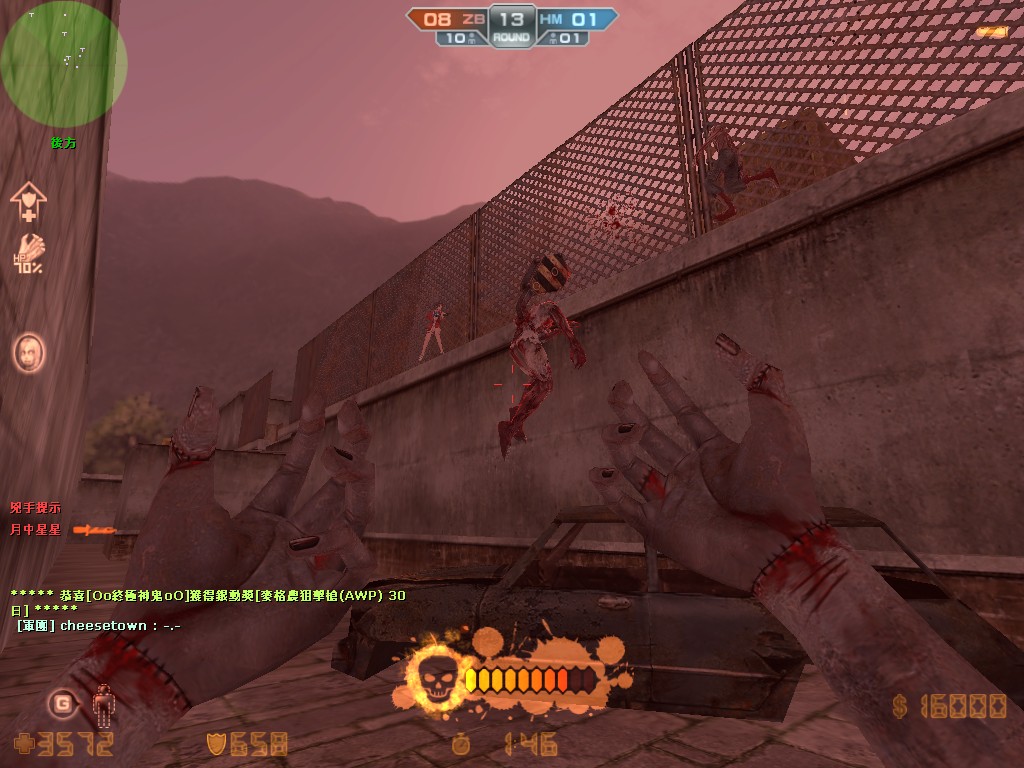 cs_camouflage20018.jpg
