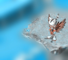 20110129.jpg