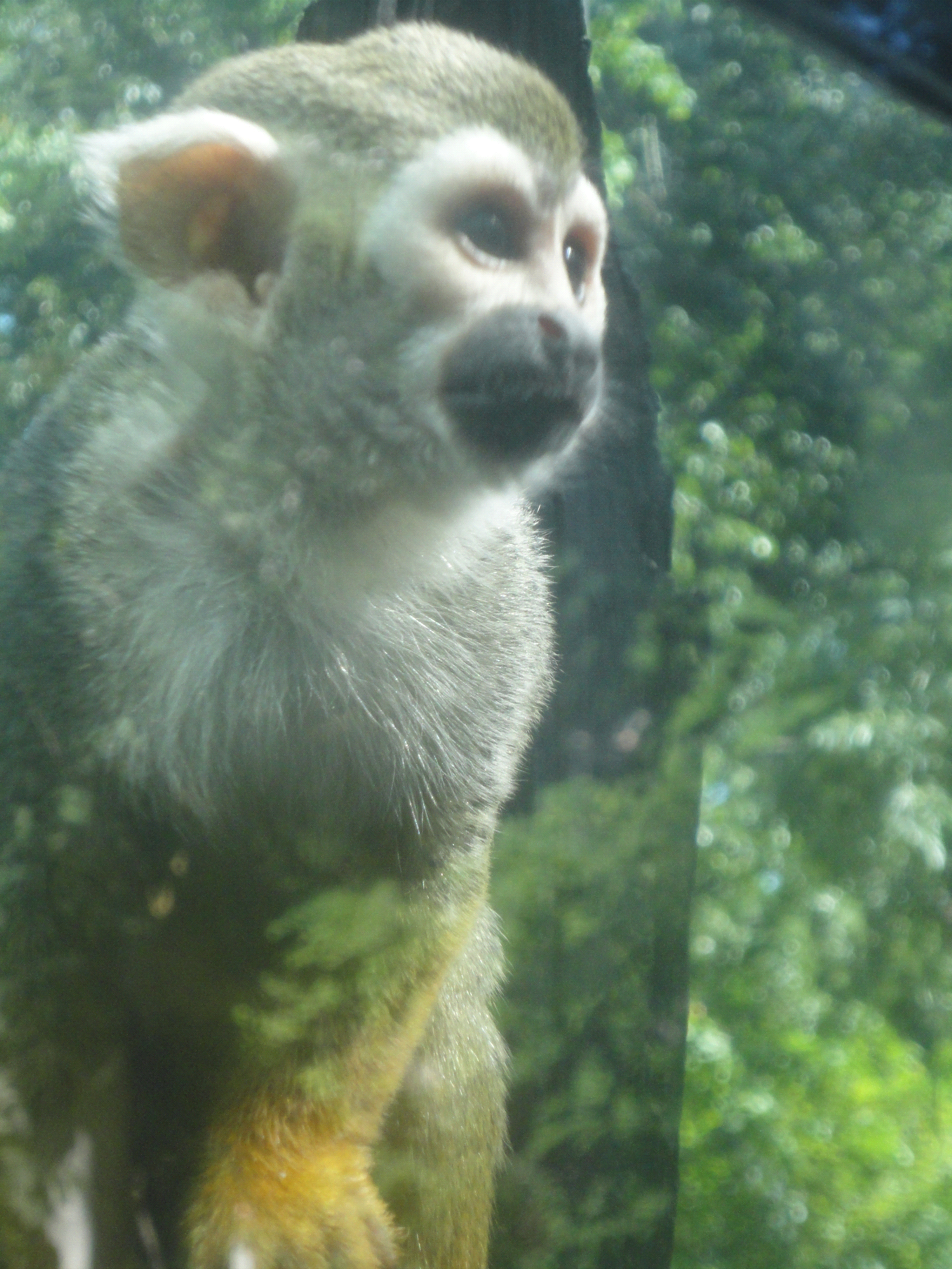 北京動物園