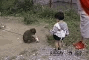 1103312101bc92c86d14b92b70.JPG