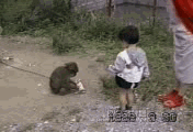 14b92b70.gif