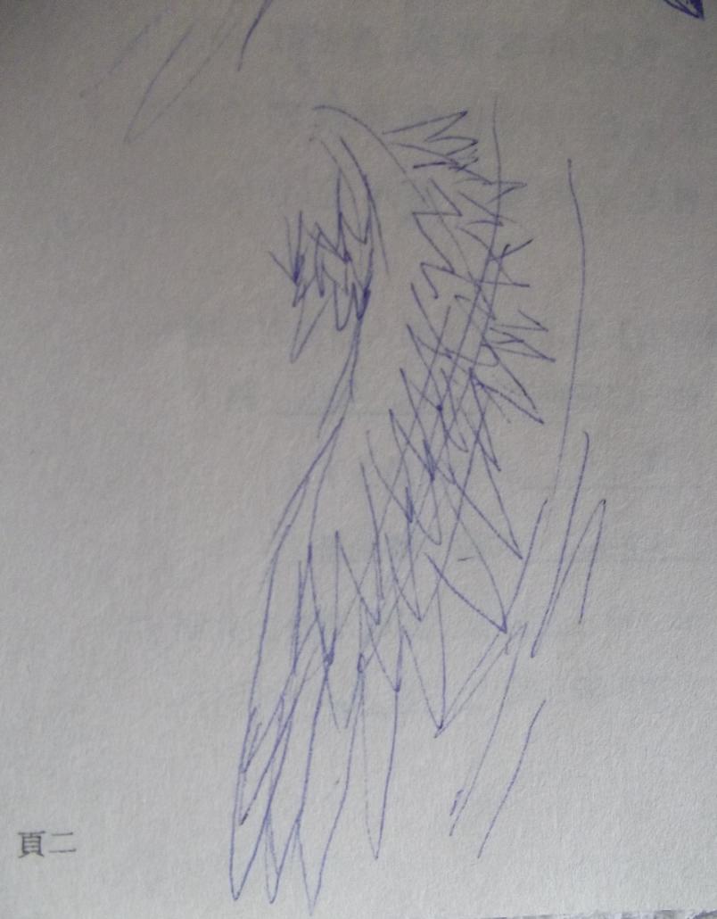 DSCF1088.JPG