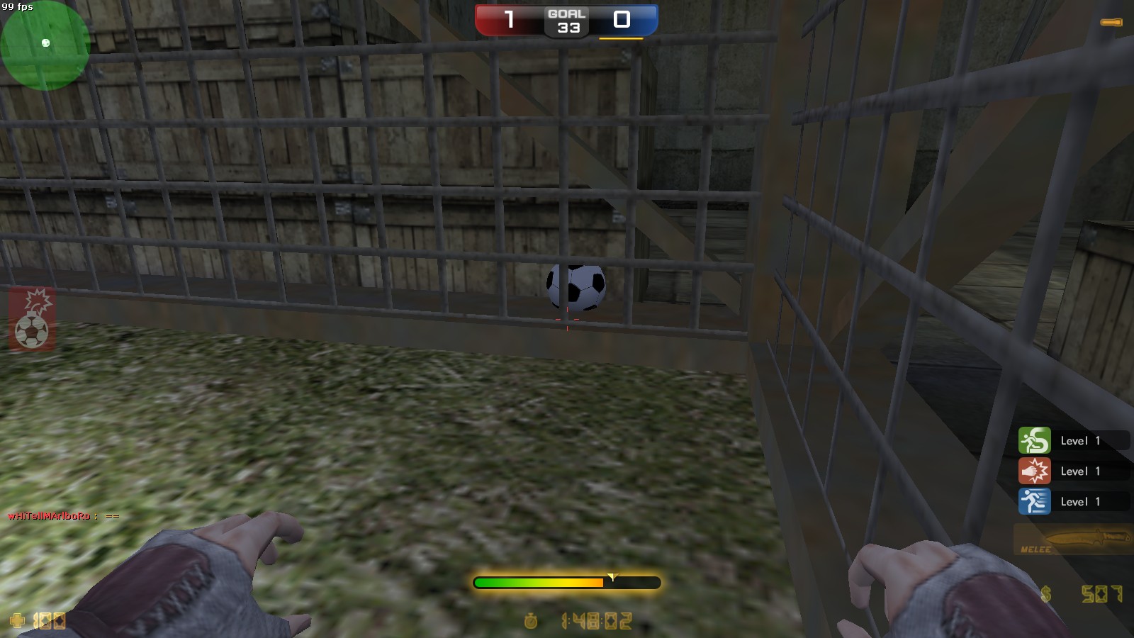 sc_cage0022.jpg