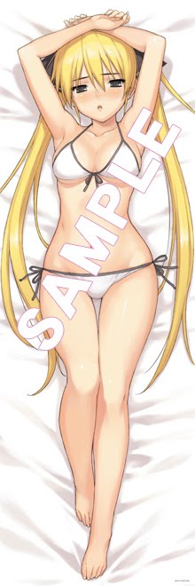 魅杏さん抱き枕カバー（裏）.jpg