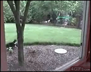 OH!.gif