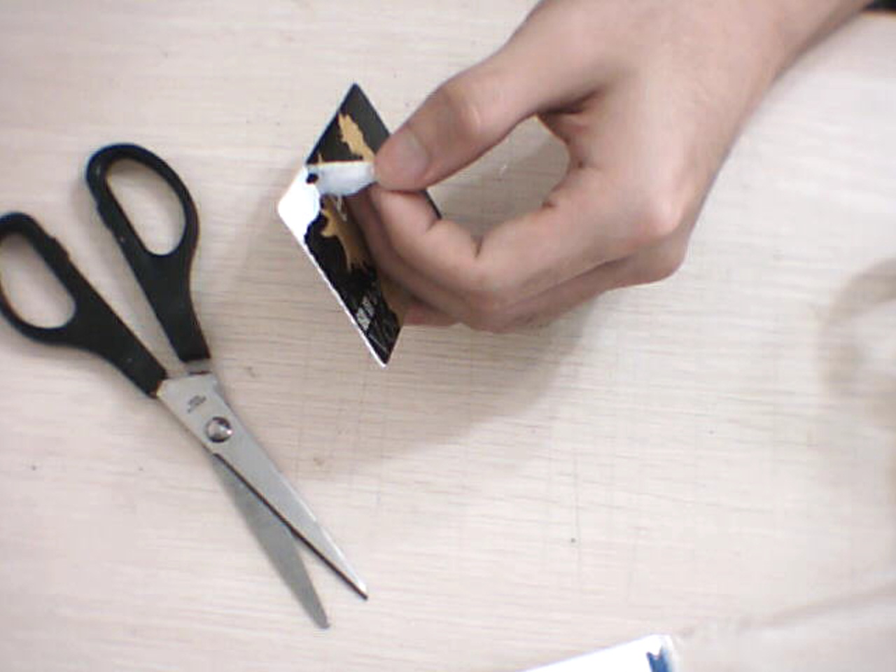 Picture 16.jpg