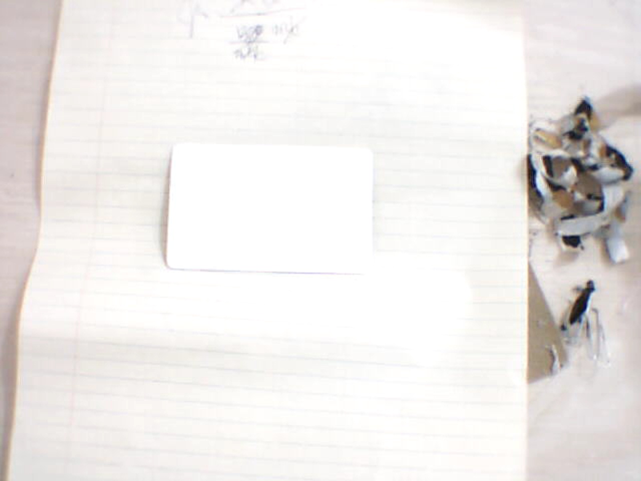 Picture 29.jpg