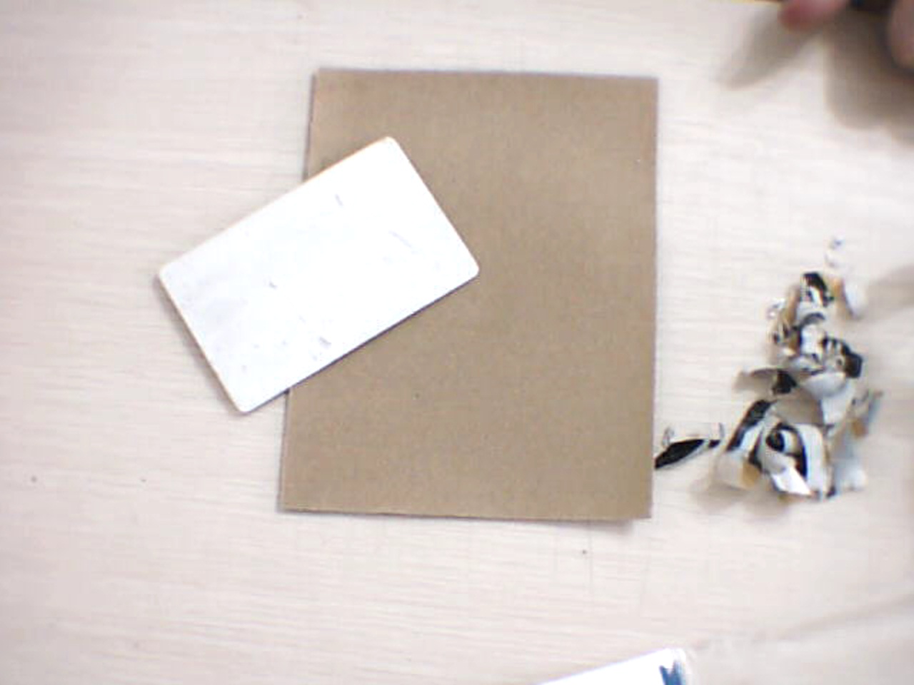 Picture 19.jpg