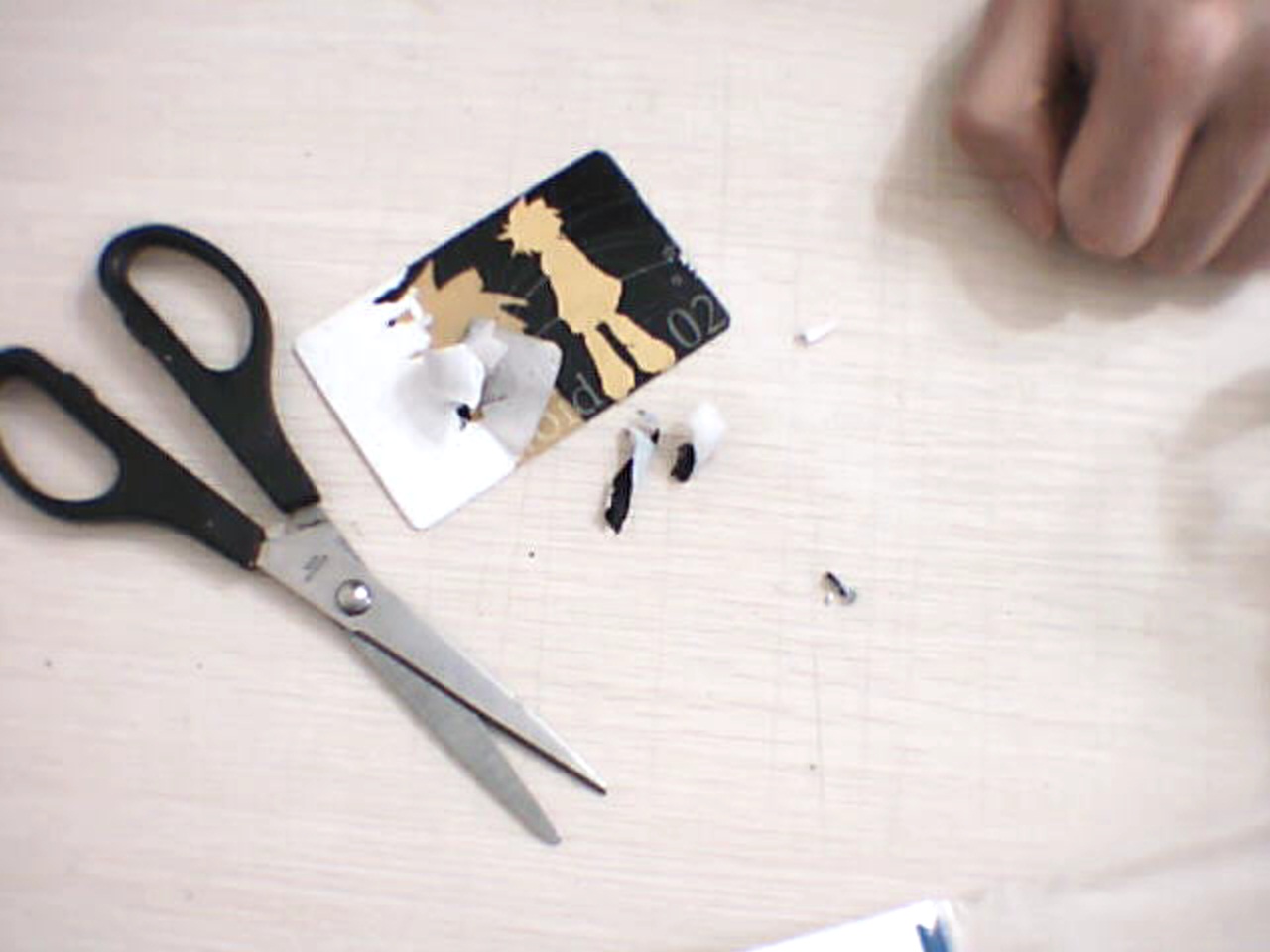 Picture 17.jpg