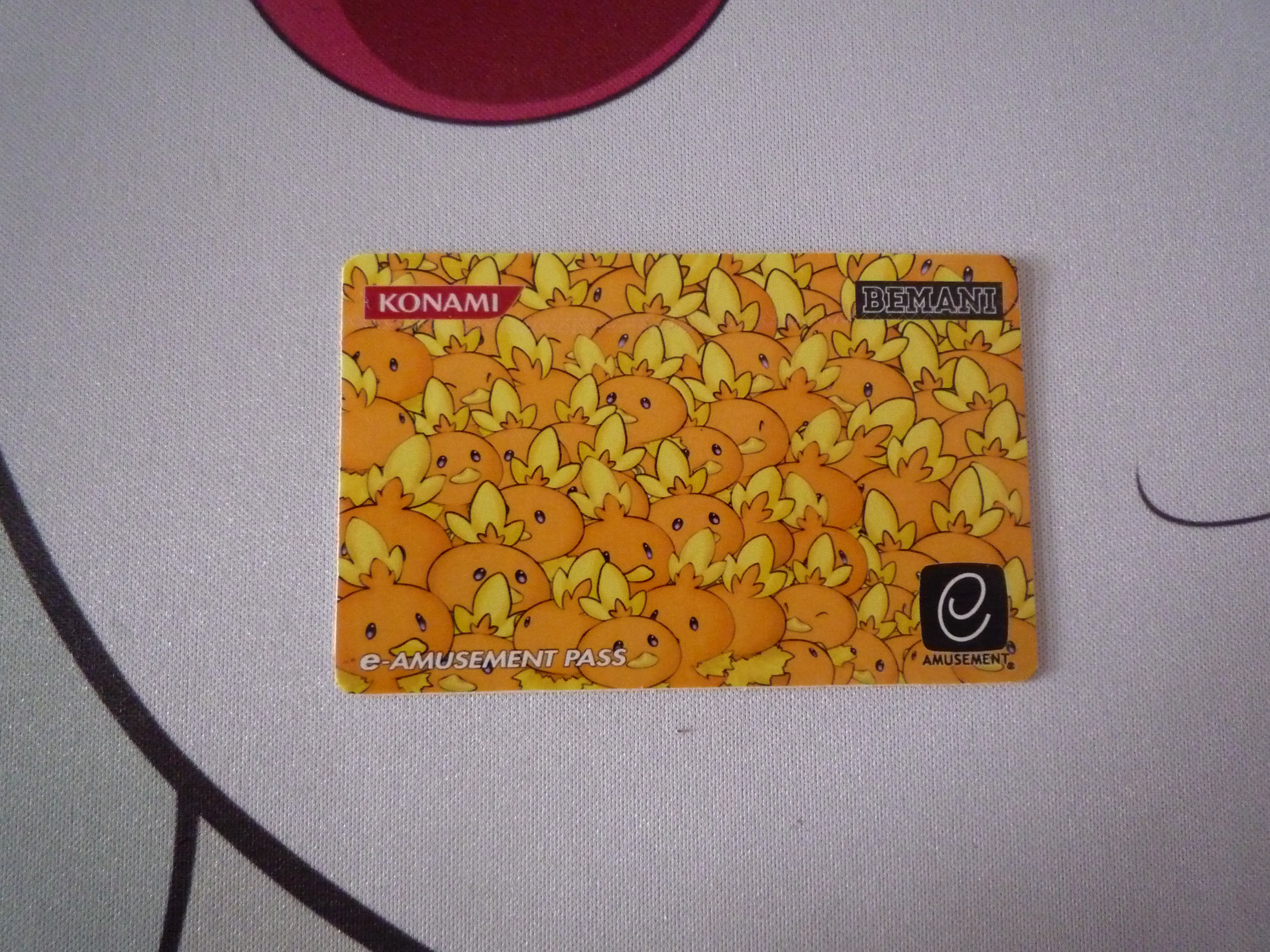 P1000075.JPG