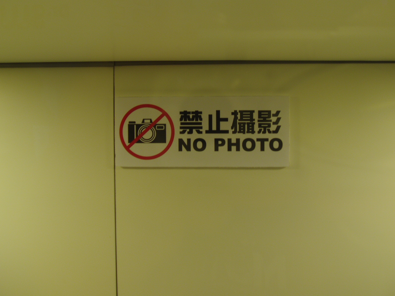 P8010084.JPG