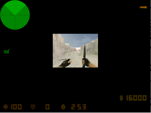 cs pk picture.png