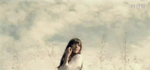 95.gif