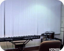 d0094444_4ae997703375c.gif