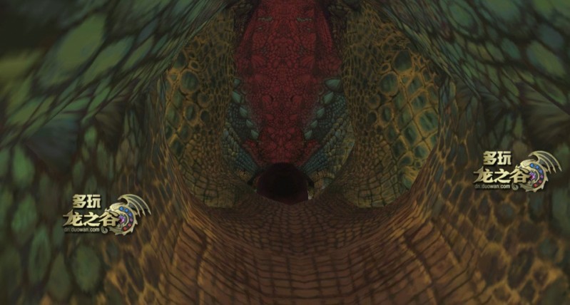 6.JPG