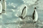 110811164394fe20848812f588.gif