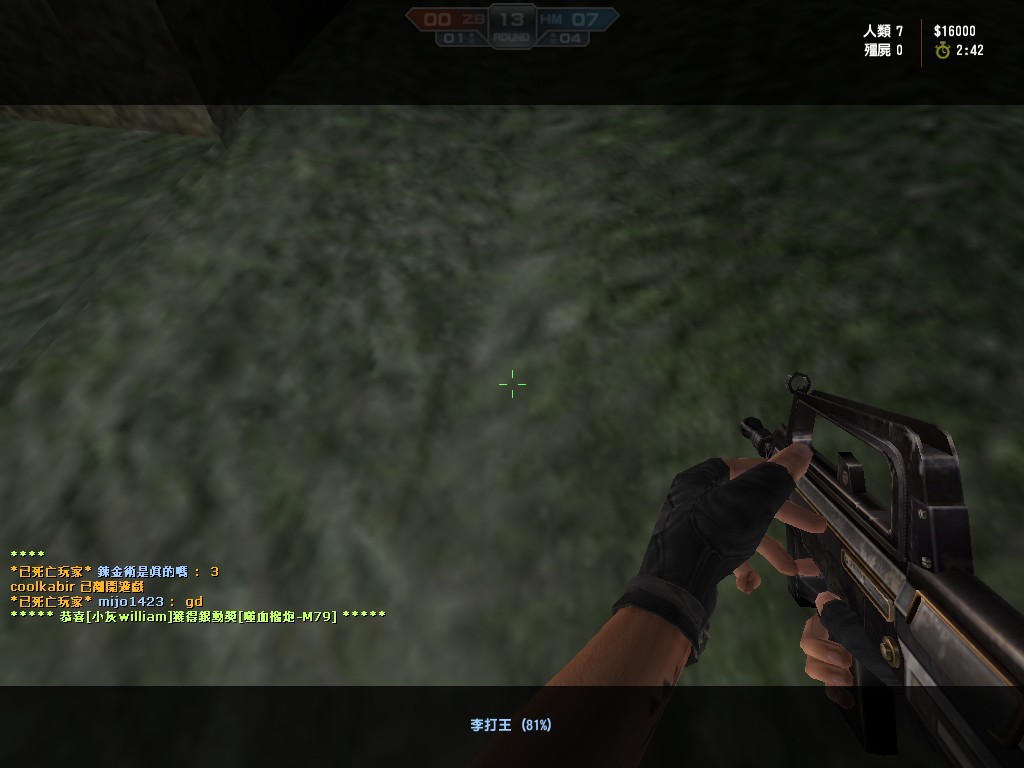 de_chateau_20111113_1316400.jpg