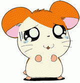 20070723185337.gif