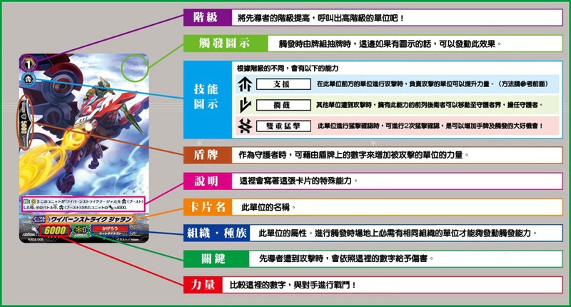卡片的判讀.jpg