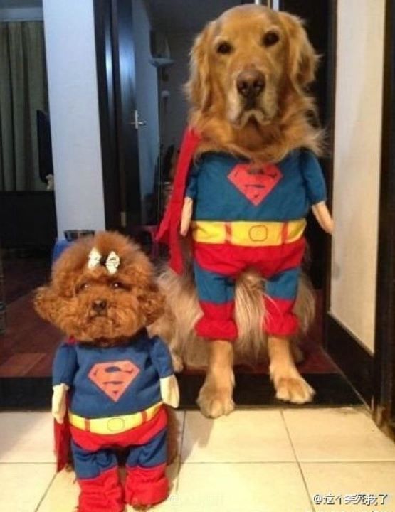 403580_323955204307407_133352443367685_801645_1119742697_n.jpg