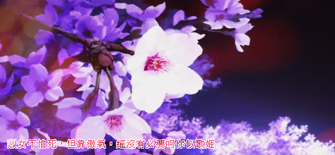 zara.gif