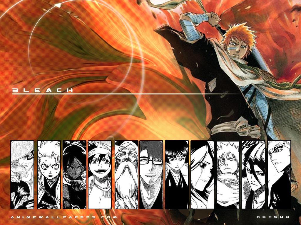 bleach_12_1024.jpg